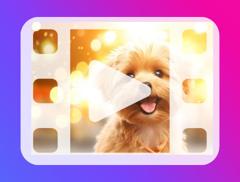 Video Downloader